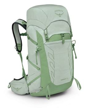 Picture of TEMPEST™ 33 FROST MINT GREEN